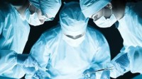 美医生成功给脑死亡患者移植猪心脏 暂无排斥现象