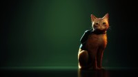 猫咪冒险《流浪》PS容量大小曝光 PS5版仅7.5G
