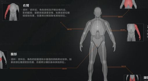 《暗区突围》健康系统解析及药品图鉴