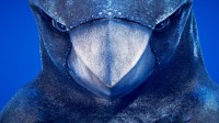 深海恐惧症勿入！深海科幻冒险游戏《冰川》发布预告