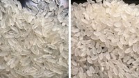 自热米饭用的不是天然大米 而是人造复合米 
