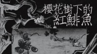 《樱花树下的红鲱鱼》剧本介绍 推理还原本