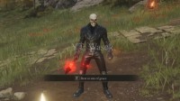 《老头环》恶灵骑士MOD：这次燃烧的是敌人的灵魂