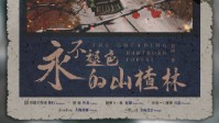 《永不褪色的山楂林》剧本杀角色推荐