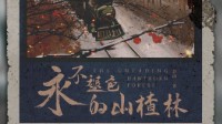 《永不褪色的山楂林》剧本杀无剧透测评