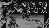 《樱花树下的红鲱鱼》剧本杀无剧透测评