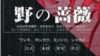 《野の蔷薇》剧本杀角色推荐