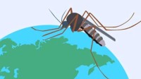 今年的蚊子变少了？在40度高温下会被热死
