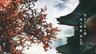 《苍歧》剧本杀人物推荐 苍歧是几人本