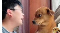 涉嫌针扎狗网红博主遭严重网暴 自称产生轻生意向