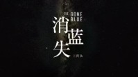 《消失蓝》剧本杀简介 所见所闻皆为剧本