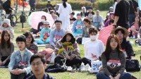 韩国举办发呆大赛 2天4000多人报名：能缓解负面情绪