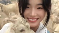 00后牧羊女孩走红 8分钟宰一只羊外号“荒漠屠夫”