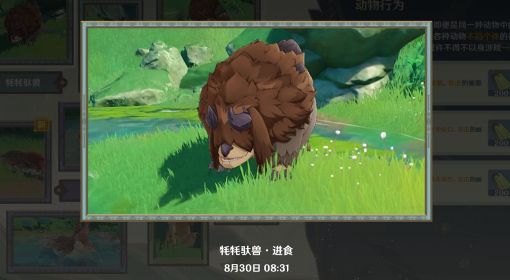 《原神》掠影拾真动物行为拍照指南