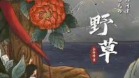 《野草》剧本杀简介 野火烧不尽春风吹又生