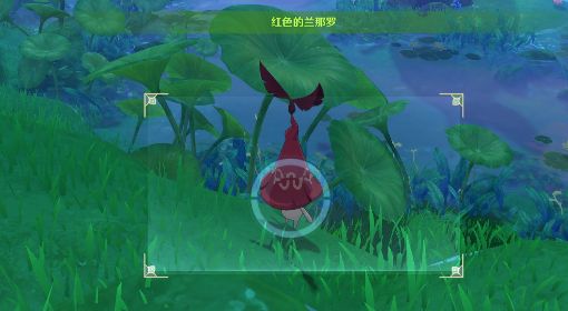 《原神》拍摄兰那罗方法及兰那罗位置