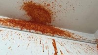 女生宿舍辣酱“爆炸”似案发现场 正在睡觉被炸醒