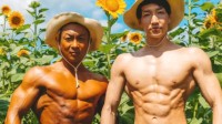 日本肌肉猛男素材更新 向日葵花海中的肌肉精灵