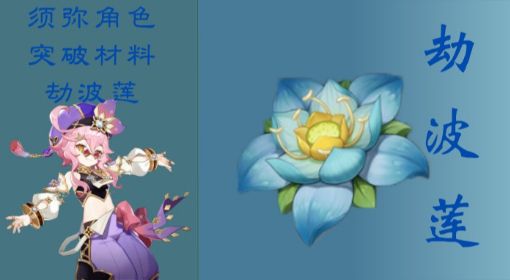 《原神》劫波莲采集路线