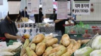 韩国一颗白菜卖90元人民币 农产品价格暴涨 