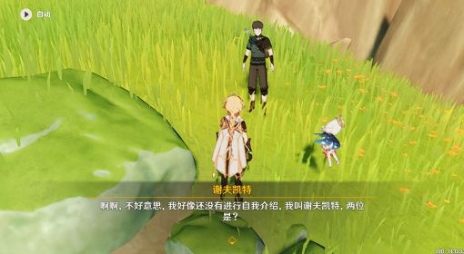 《原神》与珍惜之鸟的短暂邂逅任务攻略