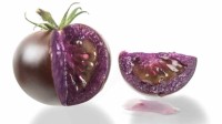 转基因番茄在美获批准：果肉呈紫色、富含花青素
