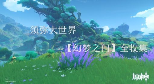 《原神》幻梦之门所有位置
