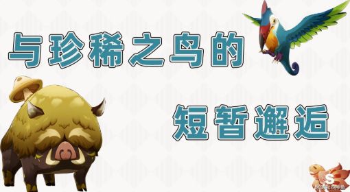 《原神》与珍稀之鸟的短暂邂逅攻略图文