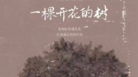 《一棵开花的树》剧本杀几男几女