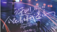 《深圳今夜请将我遗忘》剧本杀简介