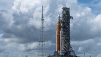 美国“登月”又失败 NASA撤回阿尔忒弥斯1号登月火箭
