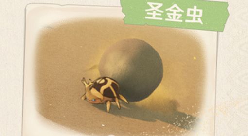 《原神》圣金虫位置及获取方法