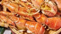 烟台海边出现大量泸沽虾 有人捡30斤实现海鲜自由