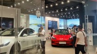 十一新能源车火爆：特斯拉试驾排长队 多品牌人气爆棚