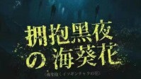 《拥抱黑夜的海葵花》剧本杀简介