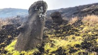 复活节岛山火持续近一周 复活节岛巨型石像严重受损
