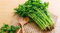 你吃香菜么？研究发现不吃香菜与基因有关