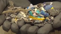 美塑料行业推进化学回收 环保组织：治标不治本