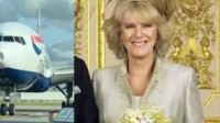 75岁英国王后所乘飞机遭鸟撞击 机头处凹陷明显