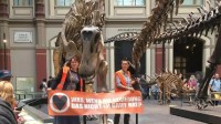 德国环保组织再出手！抗议者把手粘在恐龙展架上