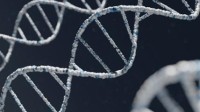 遇害近50年后 美国“沙丘女士”身份之谜被最新DNA技术揭开