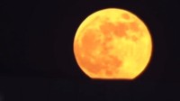 11月8日晚一起看“红月亮” 月全食巧遇月掩天王星