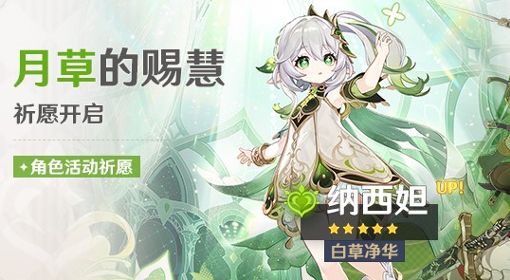 《原神》草神纳西妲深渊第12层满星配队分享
