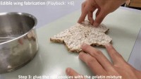 国外开发出可食用救援飞机 机翼是用米饼做的