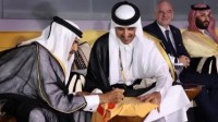 “卡塔尔国王不用自己走路”引热议:空气都是金钱味道