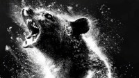 惊悚片《可卡因熊》发布海报：黑熊吸毒后大开杀戒