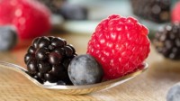 神舟14号带回5万粒蔓越莓种子：打破北美品种垄断