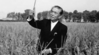 著名水稻专家杨振玉逝世 享年95岁