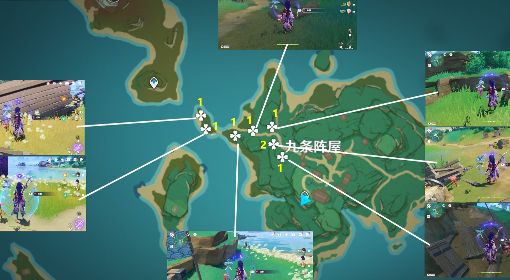 《原神》3.3版血斛收集指南