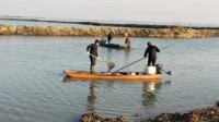 女子放生2.5万斤鲇鱼被起诉:入侵力强 严重危害生态